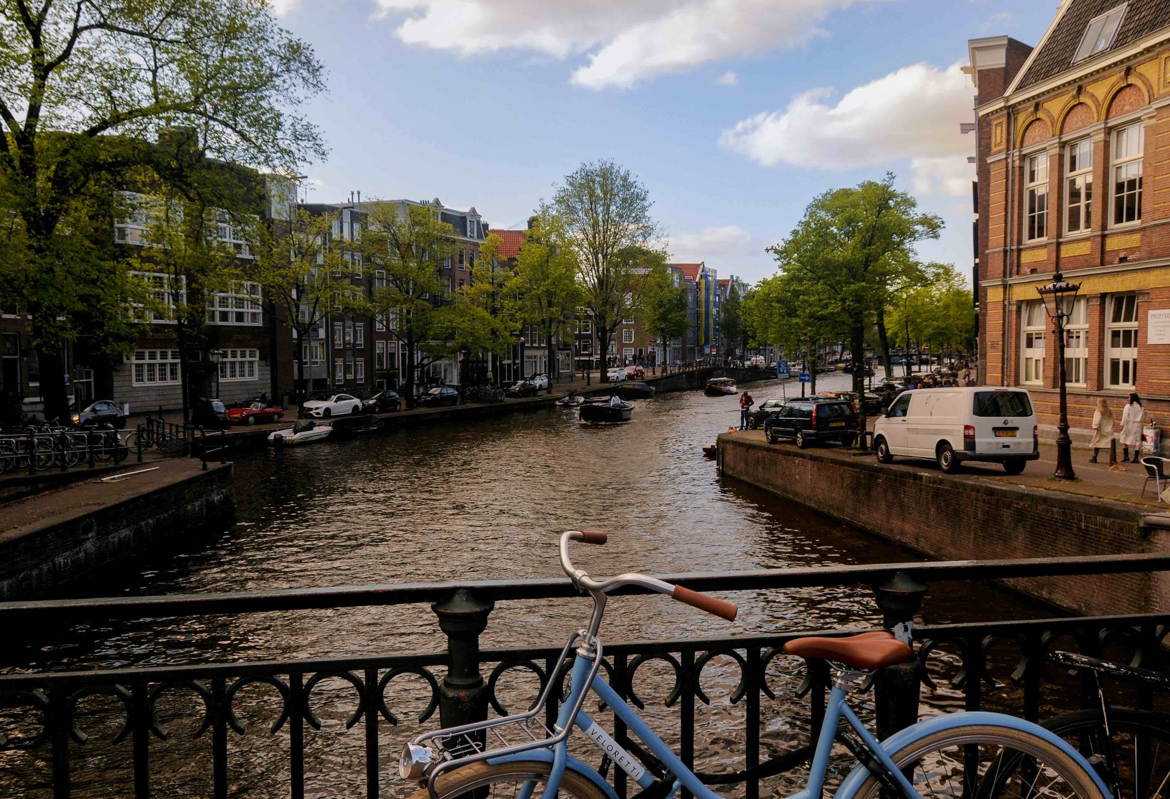 Unlocking the Secrets of Acetylcholine: Amsterdam’s Guide to Enhanced Brain Health